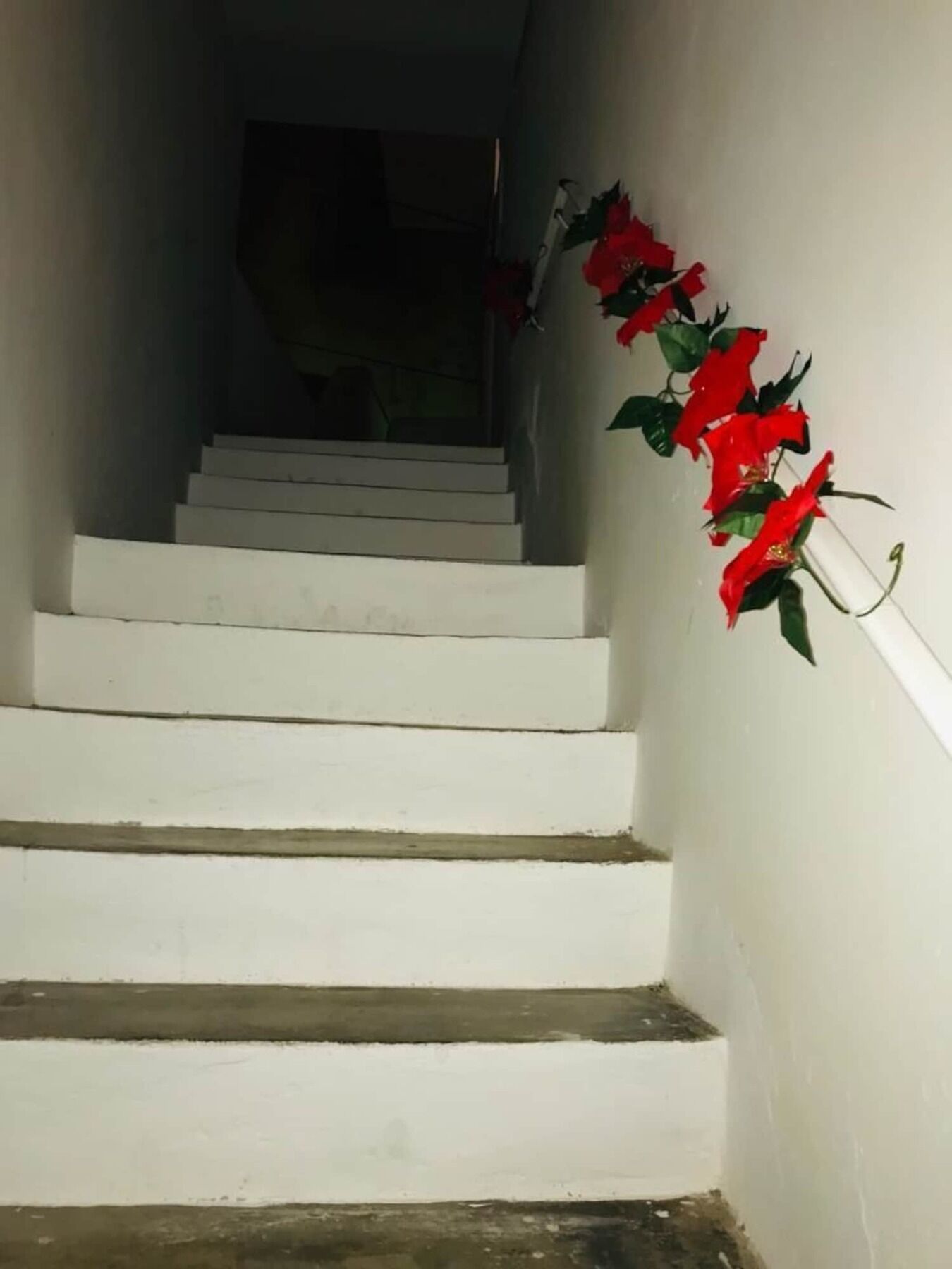 Le Stanze Di Mavi Bed & Breakfast Gravina in Puglia Exterior photo